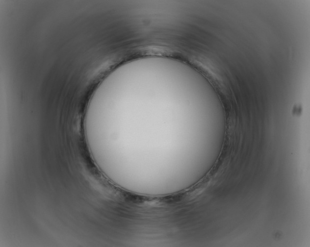 X0000093130310200709261041