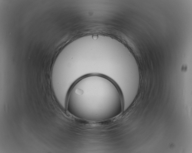X0000093130313200709261041