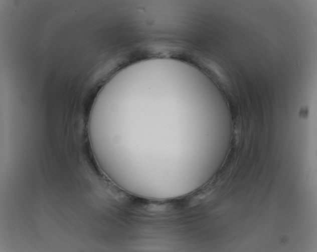 X0000093130314200709261041