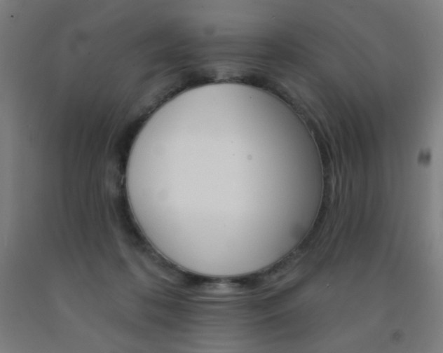 X0000093130316200709261041