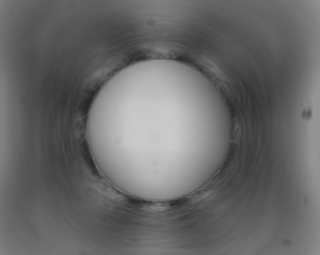 X0000093130318200709261041
