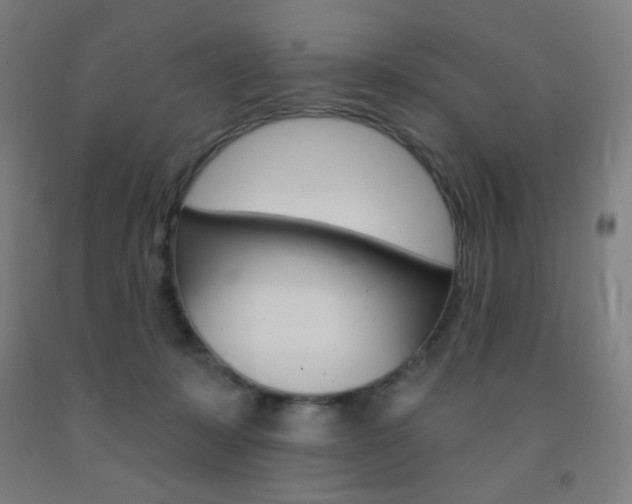 X0000093130319200709261041