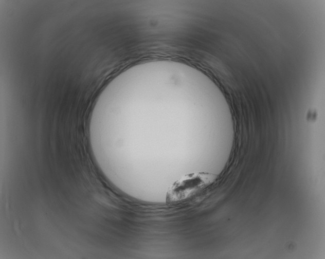 X0000093130320200709261041