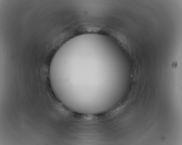 X0000093130321200709261041