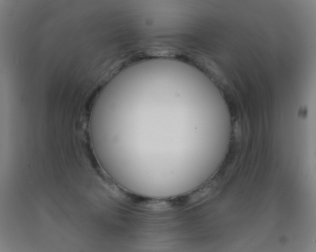 X0000093130322200709261041