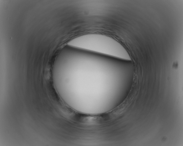 X0000093130323200709261041