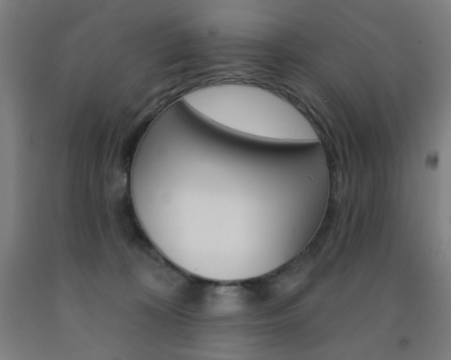 X0000093130324200709261041