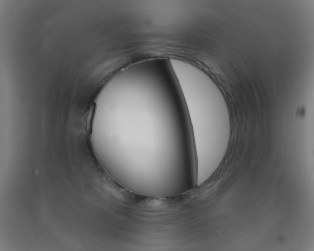 X0000093130325200709261041