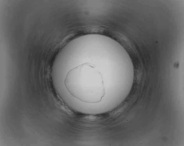 X0000093130326200709261041