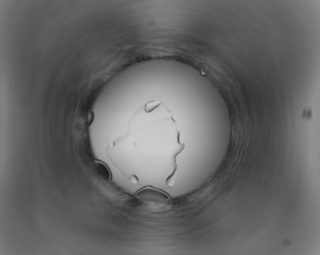 X0000093130327200709261041