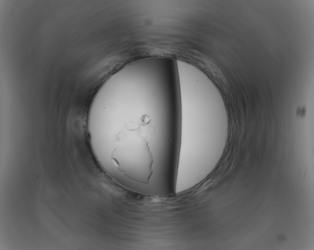 X0000093130329200709261041