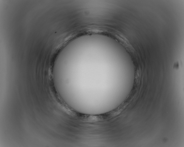 X0000093130330200709261041