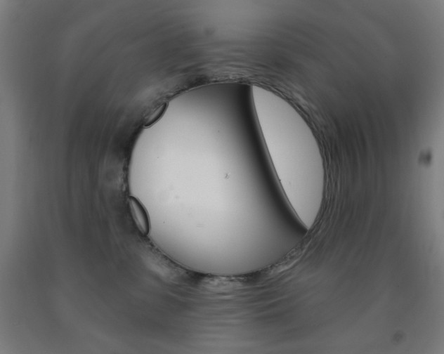 X0000093130331200709261041