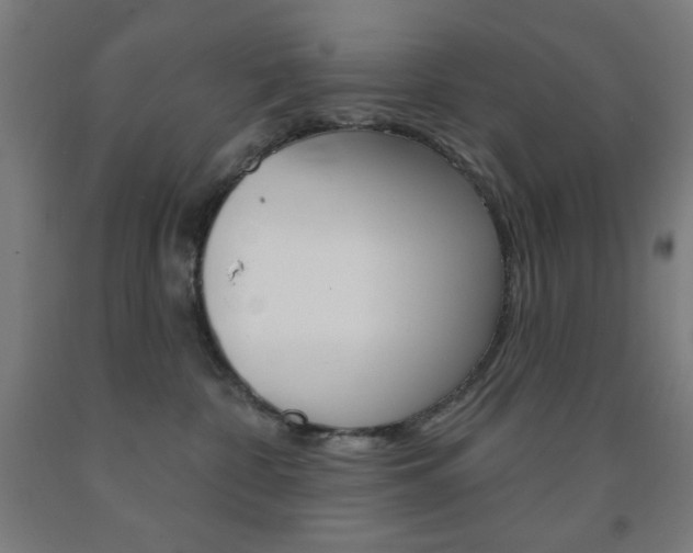 X0000093130332200709261041