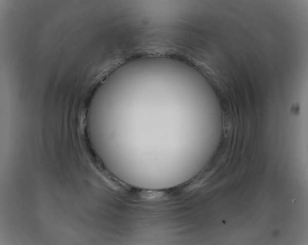 X0000093130334200709261041