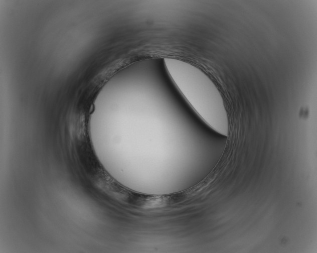 X0000093130335200709261041