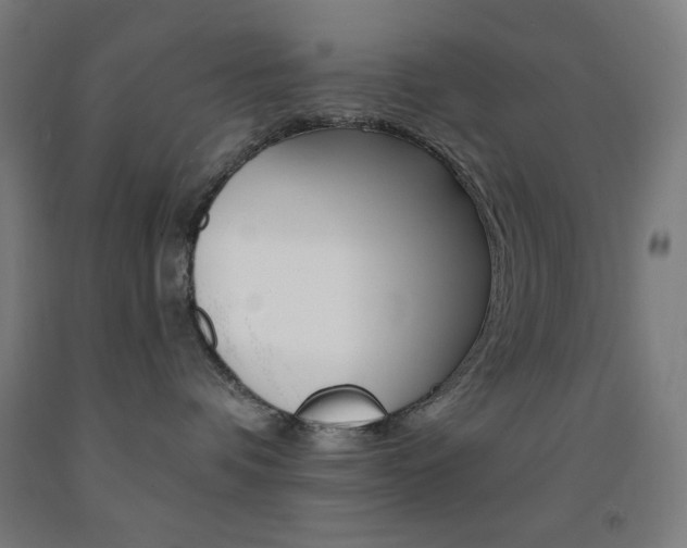 X0000093130336200709261041