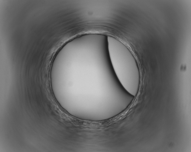 X0000093130337200709261040