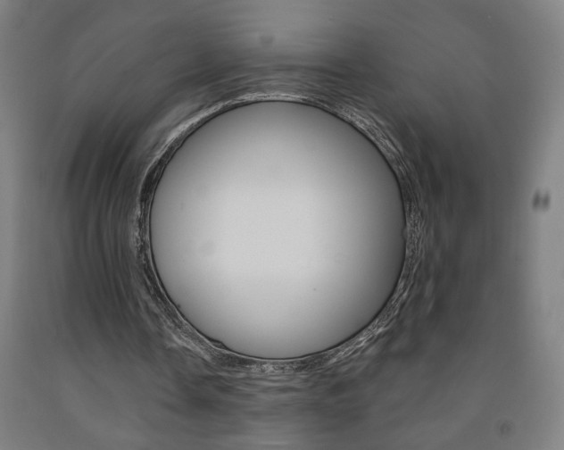 X0000093130338200709261040