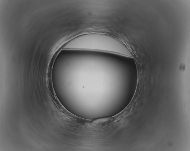 X0000093130340200709261040