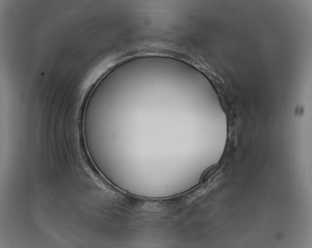 X0000093130341200709261040