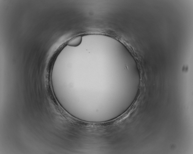 X0000093130343200709261040