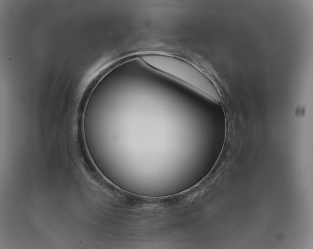 X0000093130344200709261040