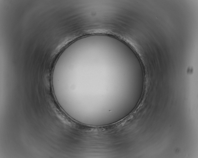 X0000093130345200709261040