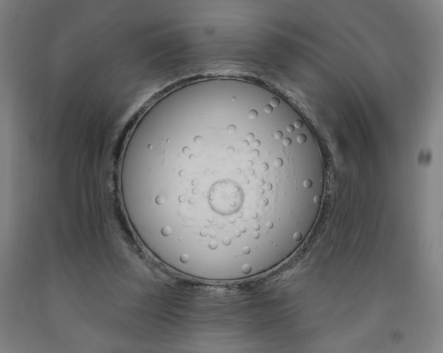 X0000093130347200709261040