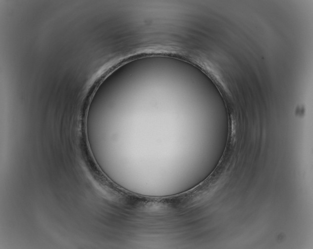 X0000093130348200709261040