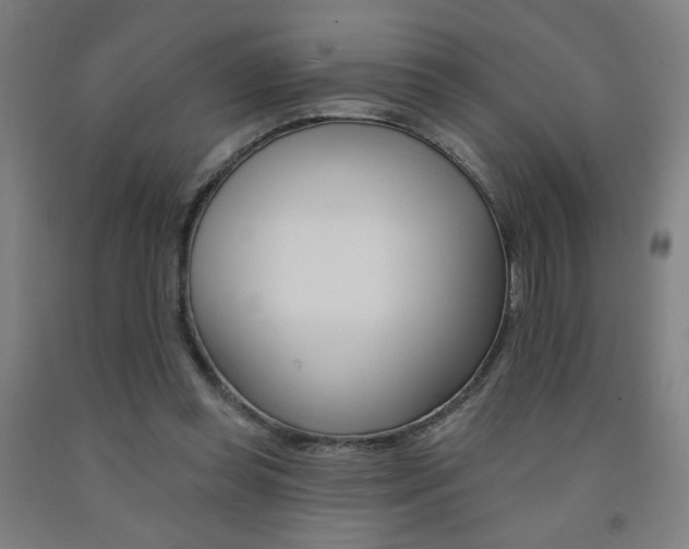 X0000093130349200709261040