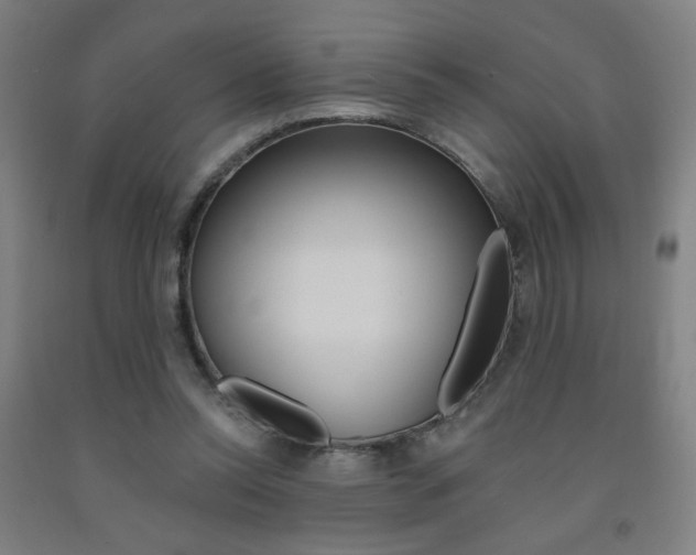 X0000093130350200709261040
