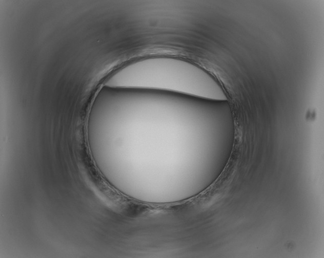 X0000093130352200709261040