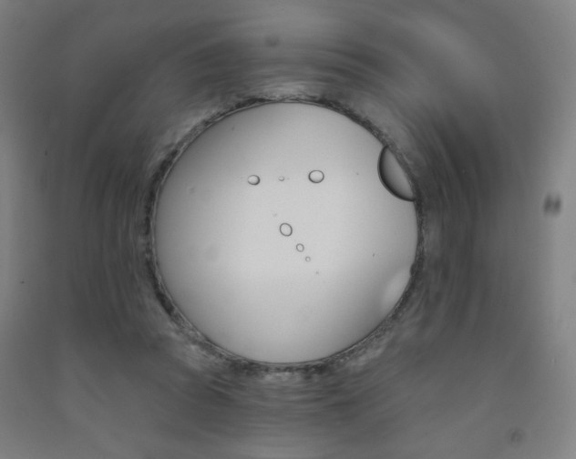 X0000093130353200709261040