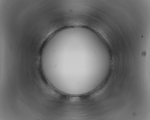 X0000093130355200709261041
