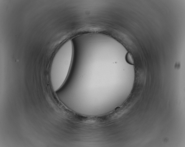 X0000093130358200709261041