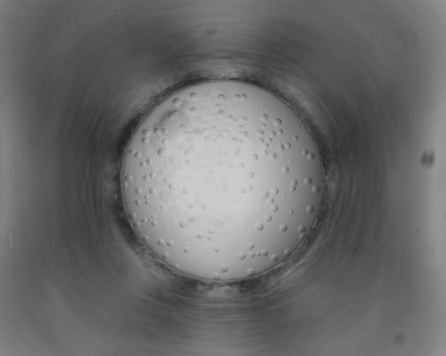 X0000093130359200709261041