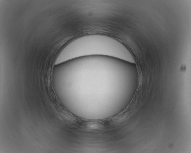 X0000093130360200709261041