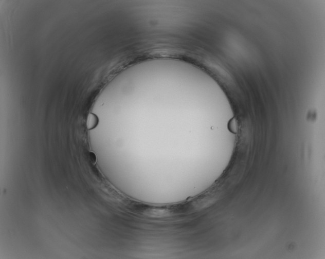 X0000093130361200709261041