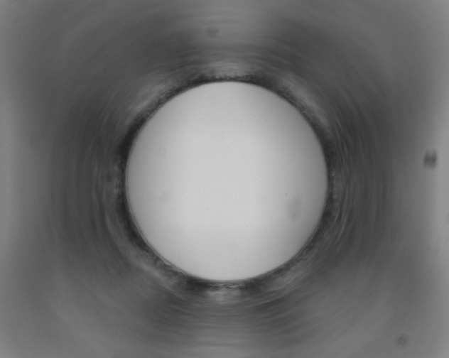 X0000093130362200709261041