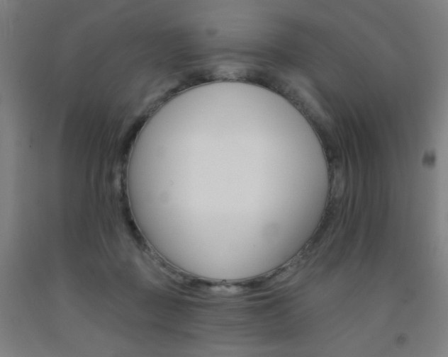 X0000093130363200709261041
