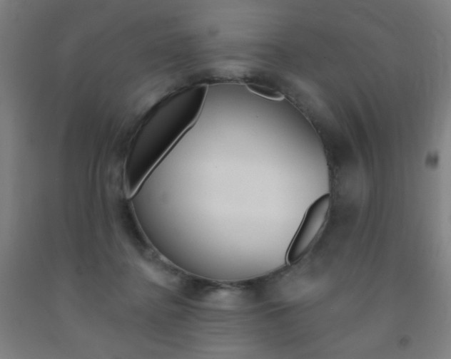 X0000093130364200709261041