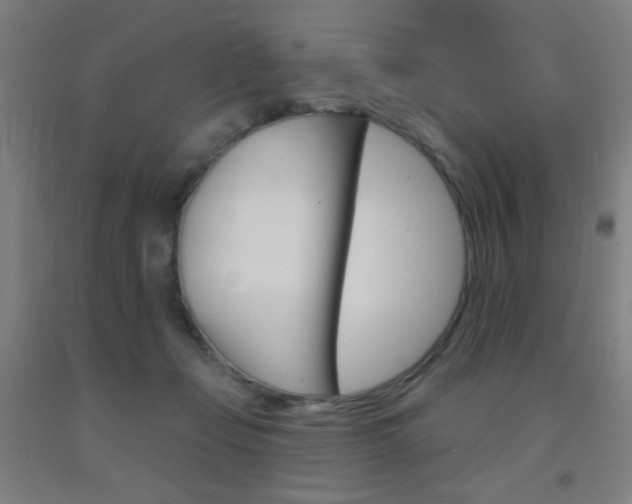 X0000093130365200709261041