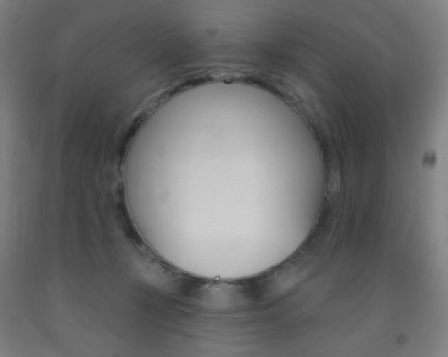 X0000093130367200709261041