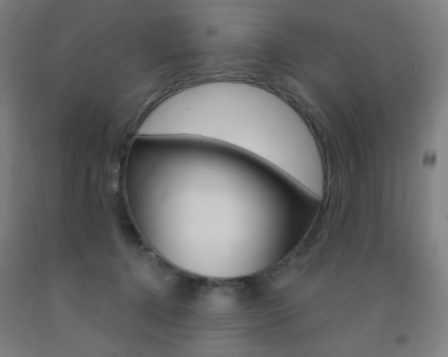 X0000093130368200709261041