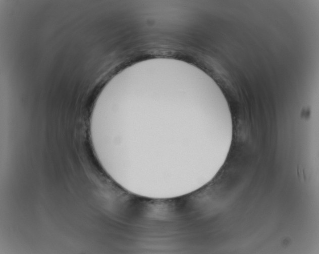 X0000093130370200709261041