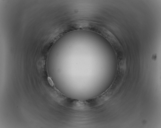 X0000093130372200709261041