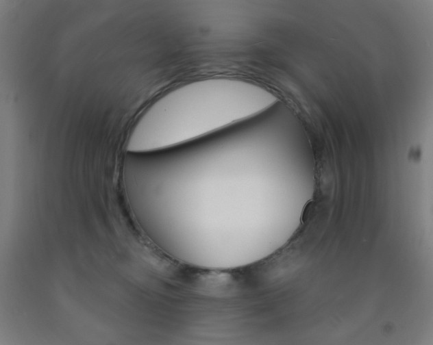 X0000093130374200709261041