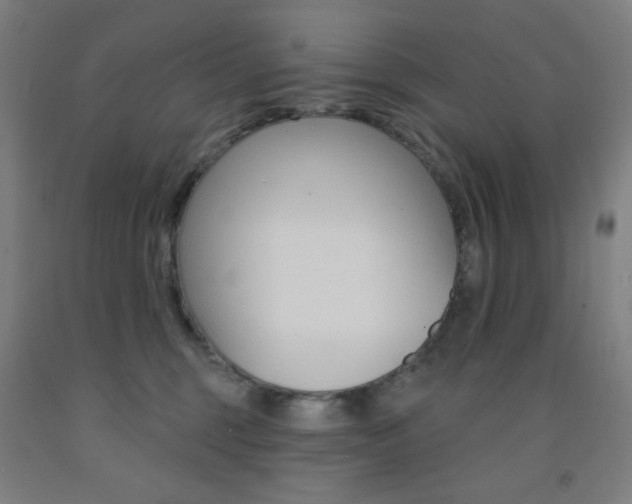 X0000093130375200709261041