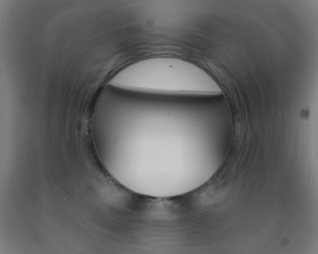 X0000093130379200709261041